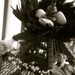 tattoo galleries/ - Wooden Cage Detail